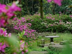-东湖磨山景区
