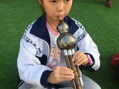 -爱乐蒙艺术古筝钢琴声乐(双楠红牌楼校区)