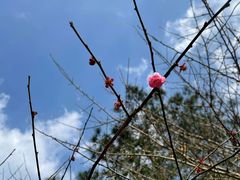 -温州永嘉书院