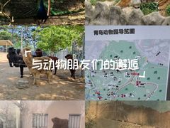 -青岛动物园