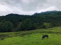 -硗碛藏寨·神木垒景区