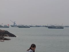 -枸杞岛