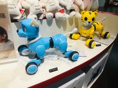 -匯智光华书店(首都机场T3店)