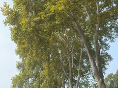 -河南省黄河迎宾馆