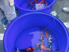 -华润万家(丹东宝山店)