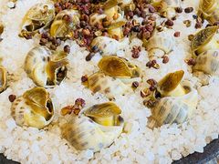 盐焗花螺-华盛丰温州大排档(东三环南路店)