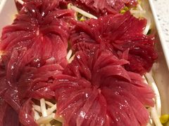 -钢管厂五区小郡肝火锅串串香(总店)