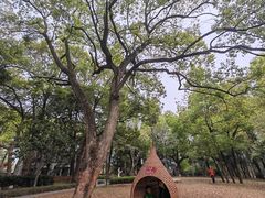 -东湖落雁景区