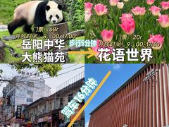 -岳阳楼景区