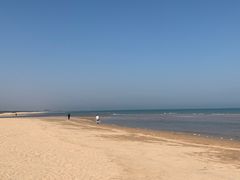 -日照海滨国家森林公园