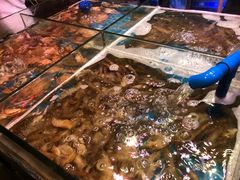 -领鲜活海鲜榴莲自助火锅(东门店)