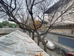 -Santoor 萨都里印度餐厅(北锣鼓巷店)