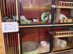 -御宝贝·A梦猫科宠物医院(国际猫友好医院)