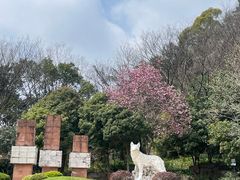 -狼山风景名胜区