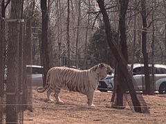 -秦皇岛野生动物园