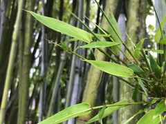 -林丰温泉度假山庄