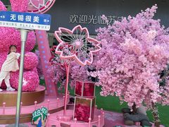 -百丽宫影城(CGS激光苏宁广场店)