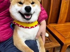 -宠福鑫动物医院(城北分院)