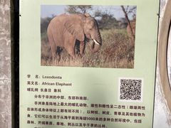-保定市动物园