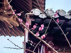 -上海财神庙