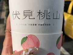 -伏小桃(明瓦廊店)