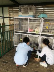 -小蜜蜂农场(凯德七宝购物广场店)