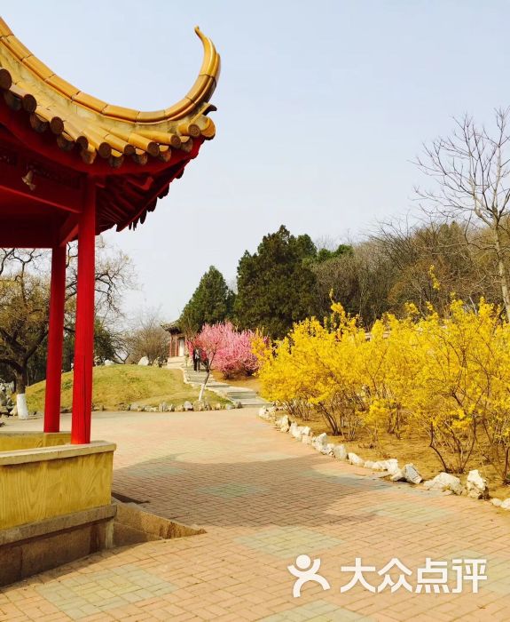 甘井子公园-图片-大连周边游-大众点评网