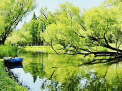 -上海共青森林公园