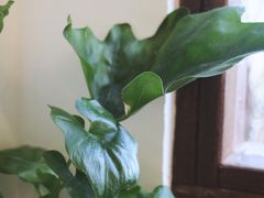 -白熊咖啡(闽江大道店)