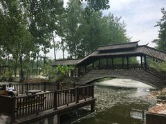 -合肥滨湖国家森林公园