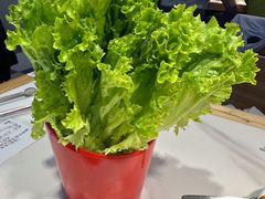 生菜-猪啊牛呀羊啊铜盘烤肉(正大广场店)