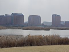 -浙江大学(紫金港校区)