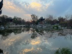 -上海滨江森林公园