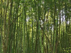 -苏州河梦清园环保主题公园