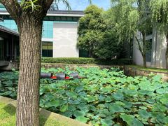 -绍兴鉴湖君澜大酒店