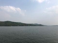 -天乐农家鱼头王(天目湖店)