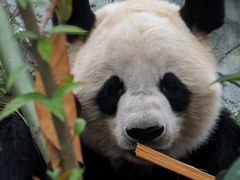 -泉州海丝野生动物世界