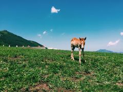 -灵山