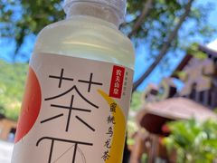 -海南槟榔谷黎苗文化旅游区