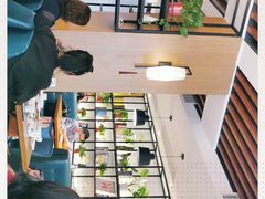 -三猫黑鱼花(南大店)