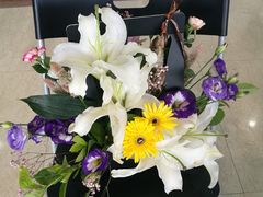 -北京三元桥丰田汽车销售服务有限公司(左家庄店)