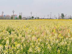 -中国天府农业博览园