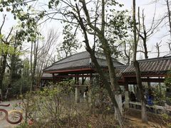 -岳麓山风景名胜区