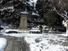 -伯先公园