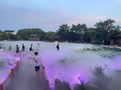-鹅湖玫瑰文化园