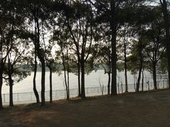 -美兰湖景区