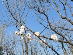 -长辛店二七公园