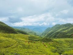 -乌蒙大草原