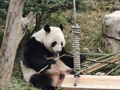 -南宁市动物园