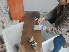 -阳澄湖大闸蟹·琼灵阁牌品牌连锁(吴中总店)